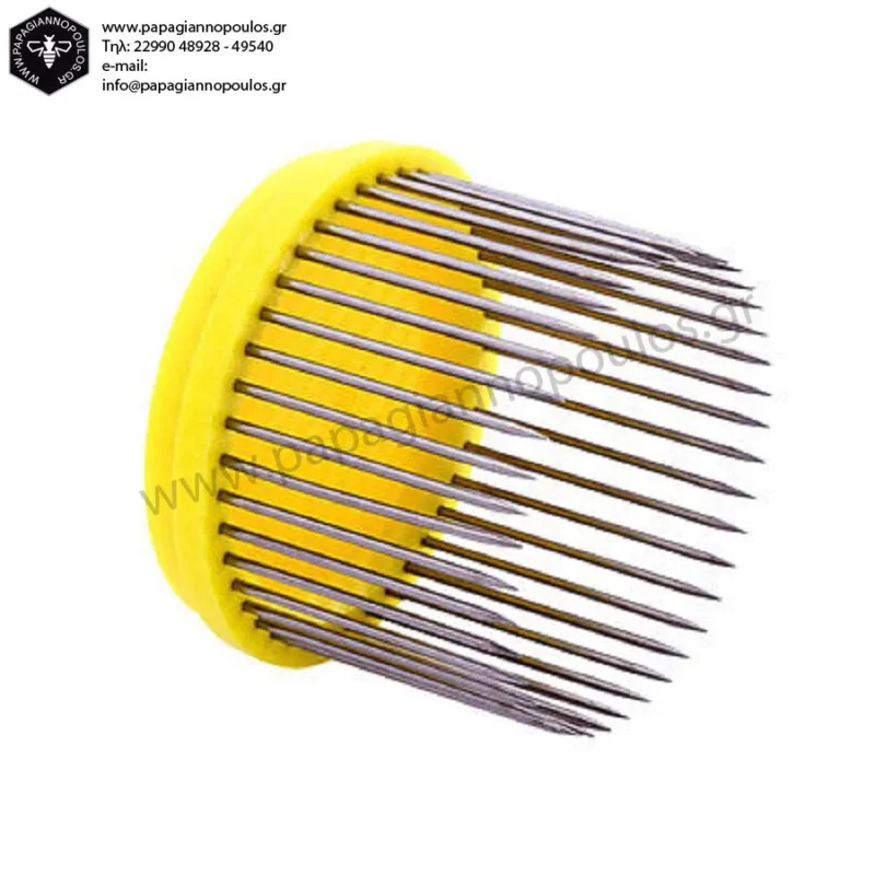 ΚΛΩΒΟΣ ΒΑΣΙΛΙΣΣΑΣ